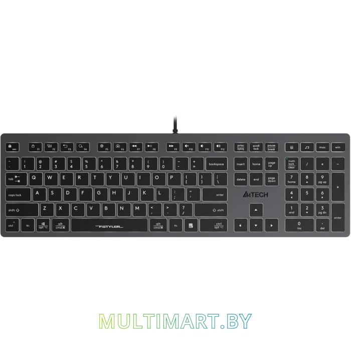 Клавиатура A4Tech Fstyler FX60 (белая подсветка)